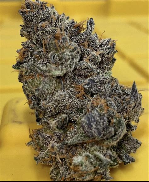 Freeborn Selections' Mean Mug is a THC dominant variety and iswas never available as feminized seeds. . Freeborn selections seeds